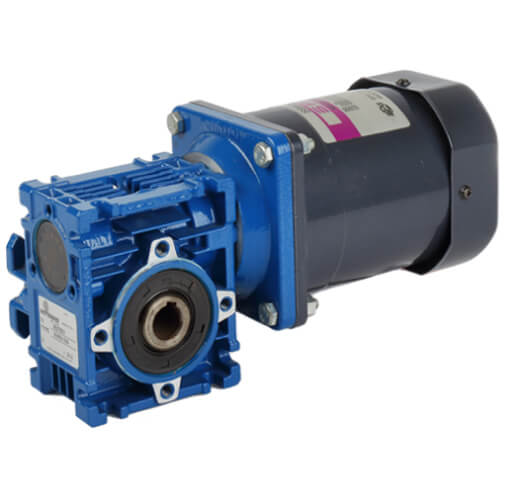 NMRV-SPG516