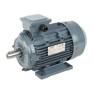 Induction Motor